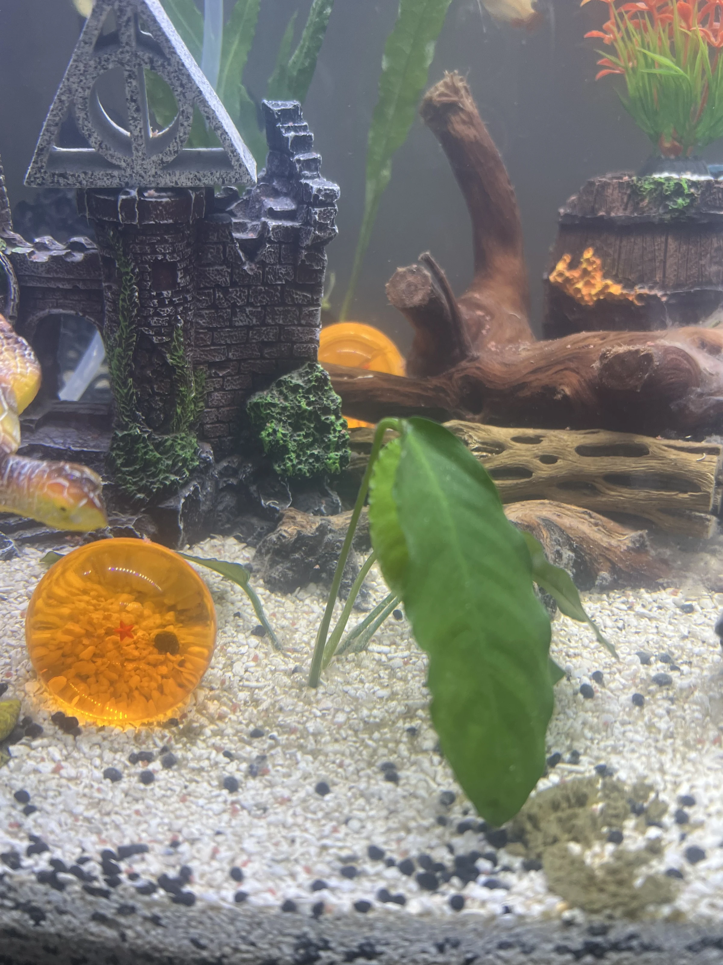 Dark castle ornament beside driftwood, an orange ball and a large green leaf above light gravel